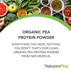 NaturesPlus Pea Protein scoop with powder ideal for quick shakes