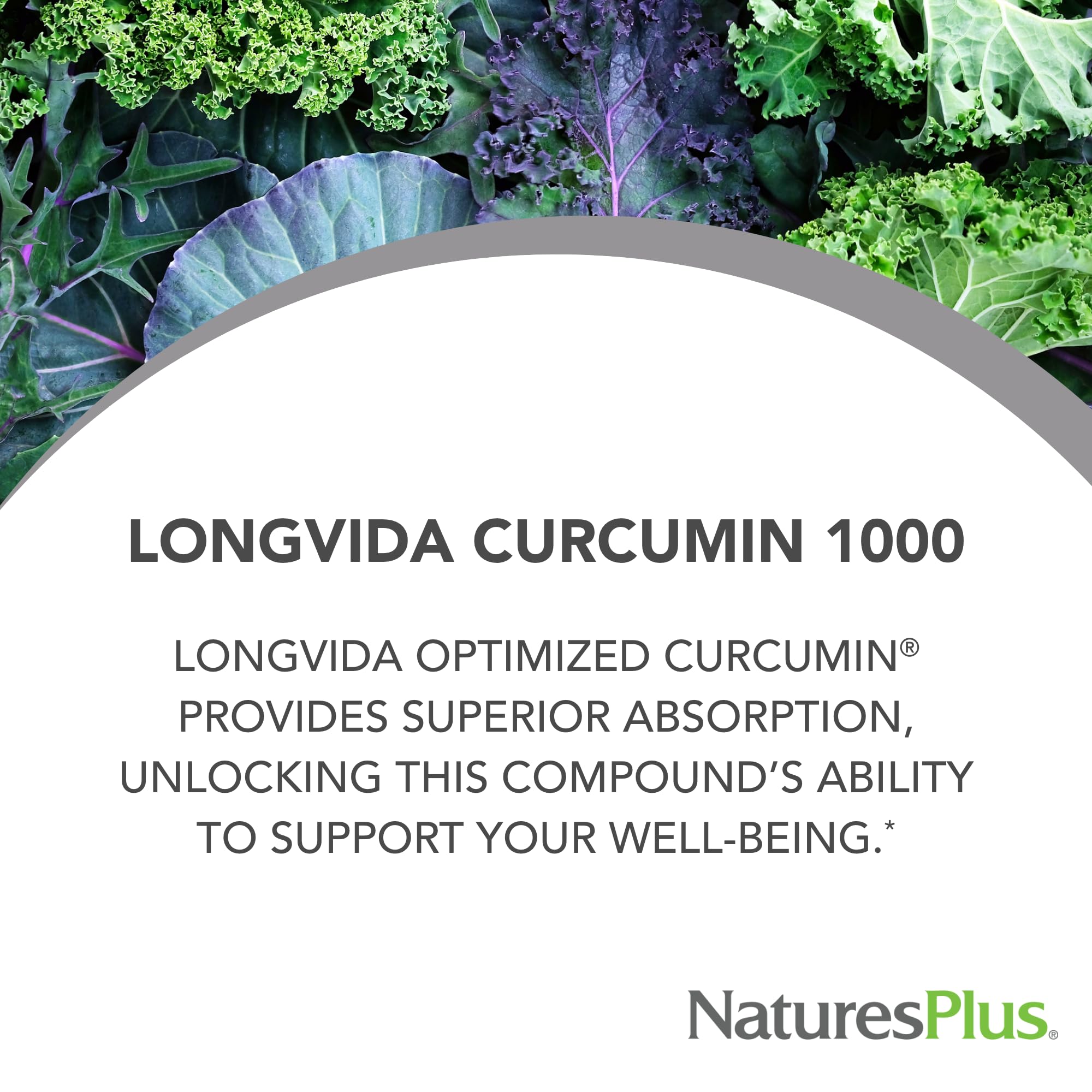 Close-up of NaturesPlus PRO Longvida Curcumin 1000 mg mini-tabs for fast absorption.
