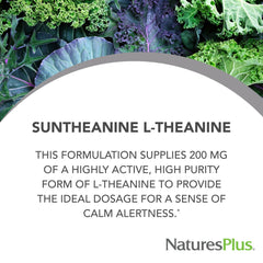 NaturesPlus PRO Suntheanine capsules shown for daily calm focus