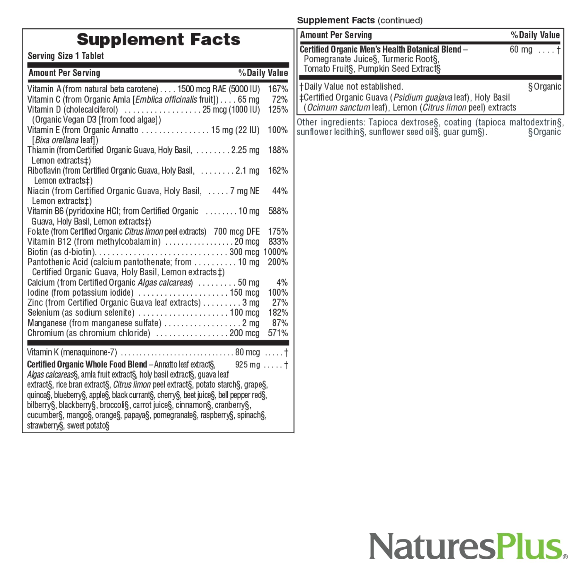 Illustration of pumpkin seed and turmeric conveys male wellness blend