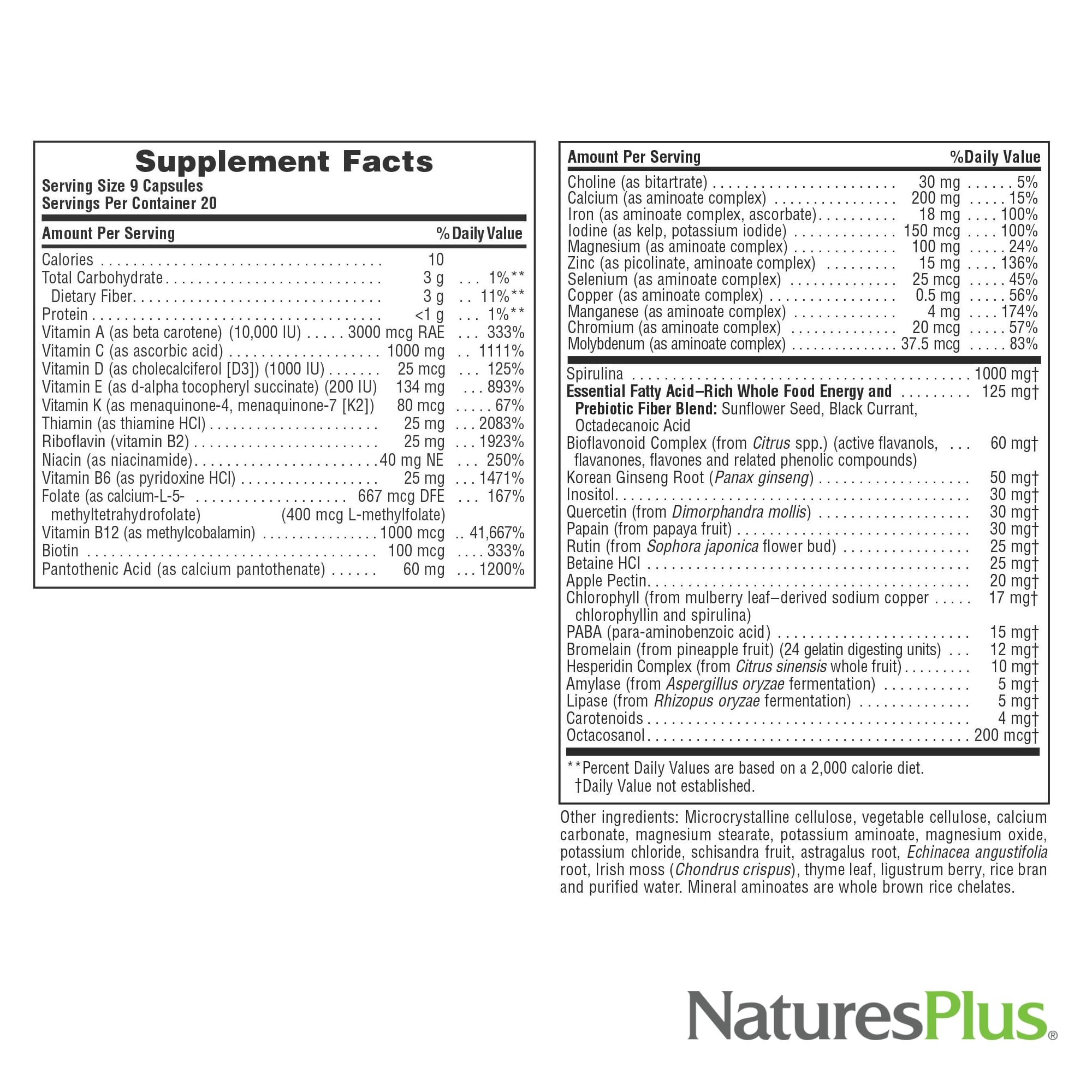 NaturesPlus Source of Life label close-up emphasizes gluten-free and vegetarian formulation for sensitive diets.