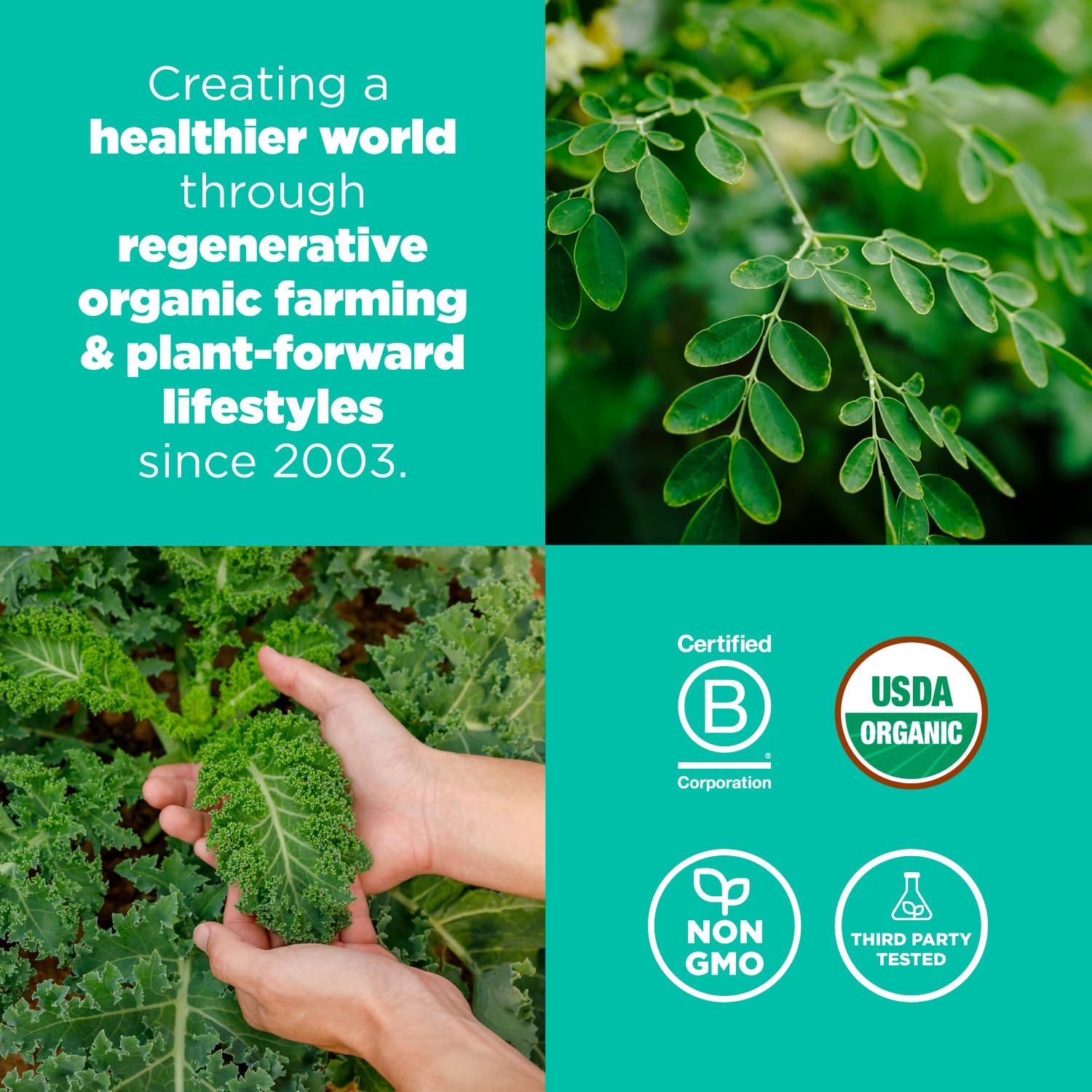 Jar label on Navitas Organics greens blend highlighting organic and vegan attributes