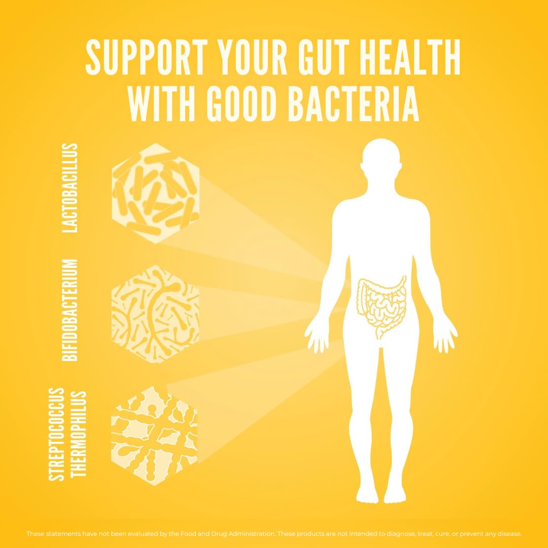 NBI Belly Rescue packaging closeup, showcasing shelf-stable probiotic supplement.