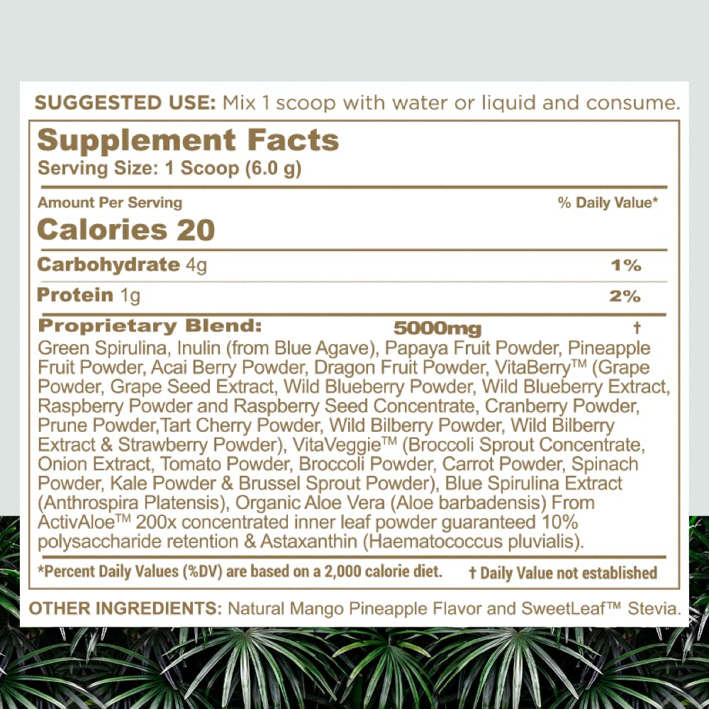 nbpure Earthy Andy Paradise smoothie serving—delicious mango pineapple flavor boosts routines.