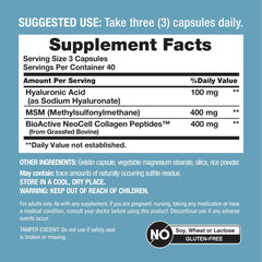 NeoCell MSM ingredient panel highlighting sulfur containing support for everyday wellness.