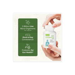 NeoLife Acidophilus Plus label detail highlighting five probiotic strains.