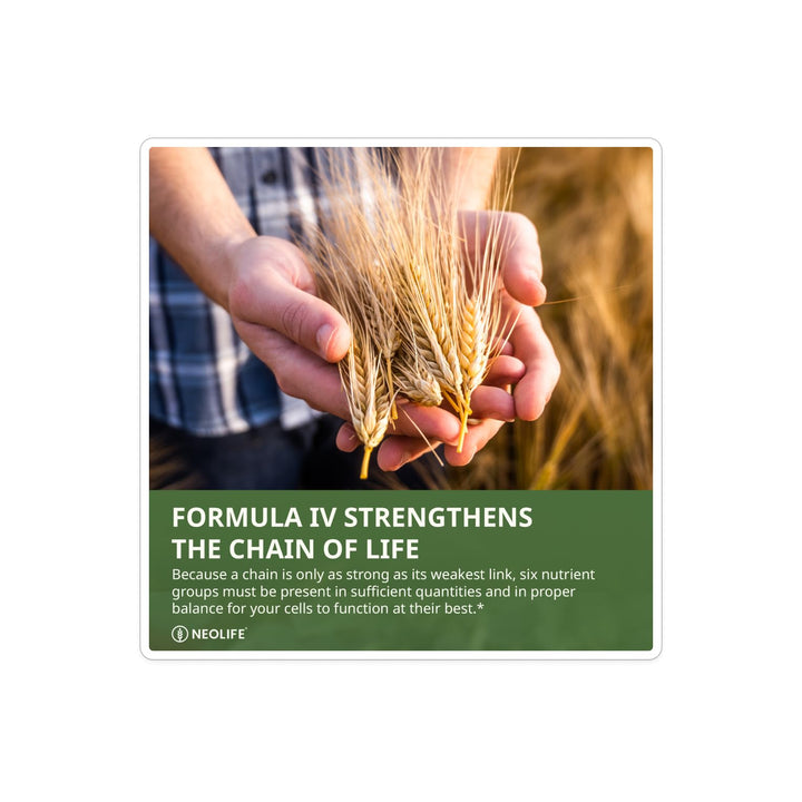 NeoLife Formula IV Phyto Enzyme Blend on packaging signals plant-based support.