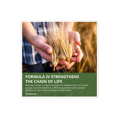 NeoLife Formula IV Phyto Enzyme Blend on packaging signals plant-based support.