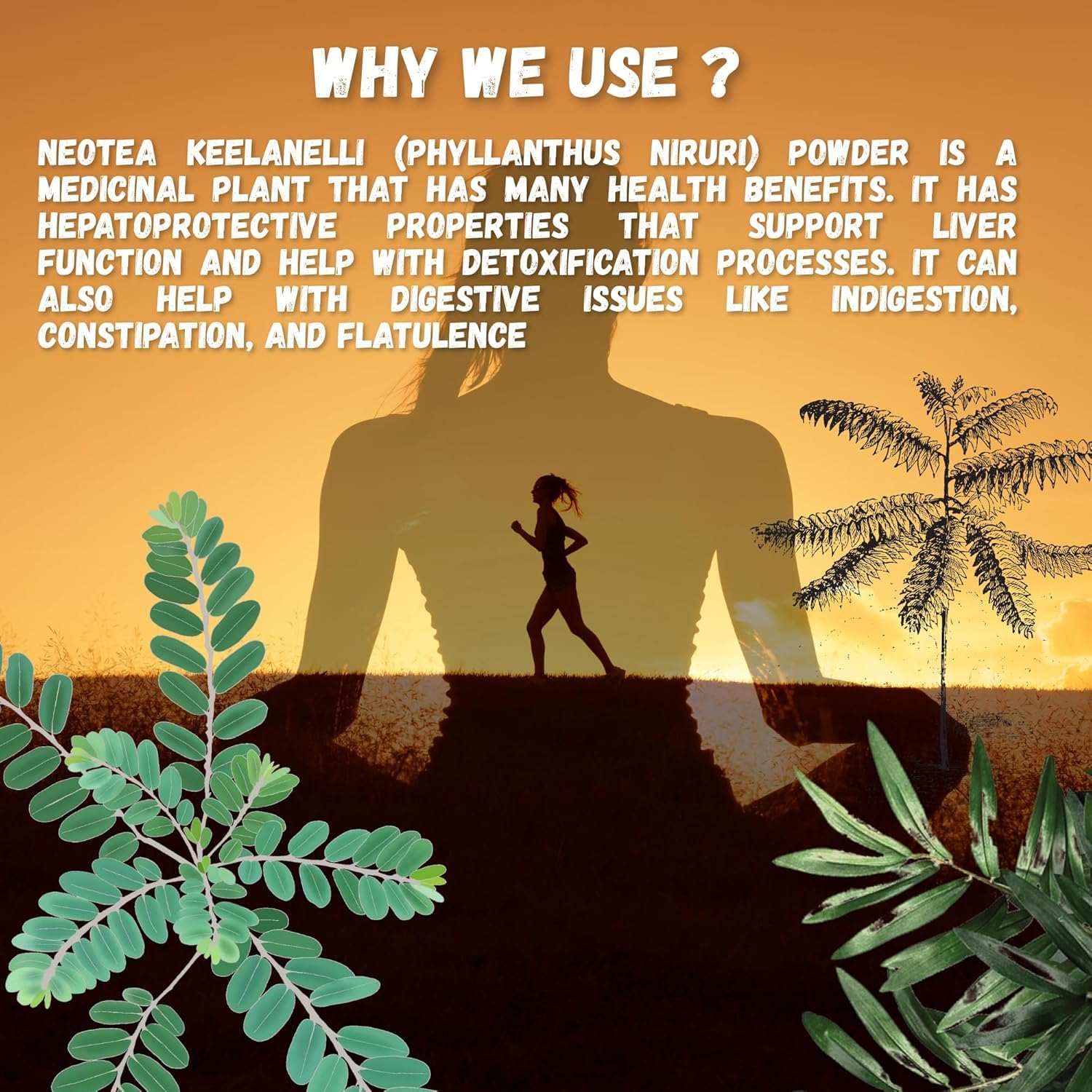 Neotea packaging highlights pure, gluten-free herbal supplement