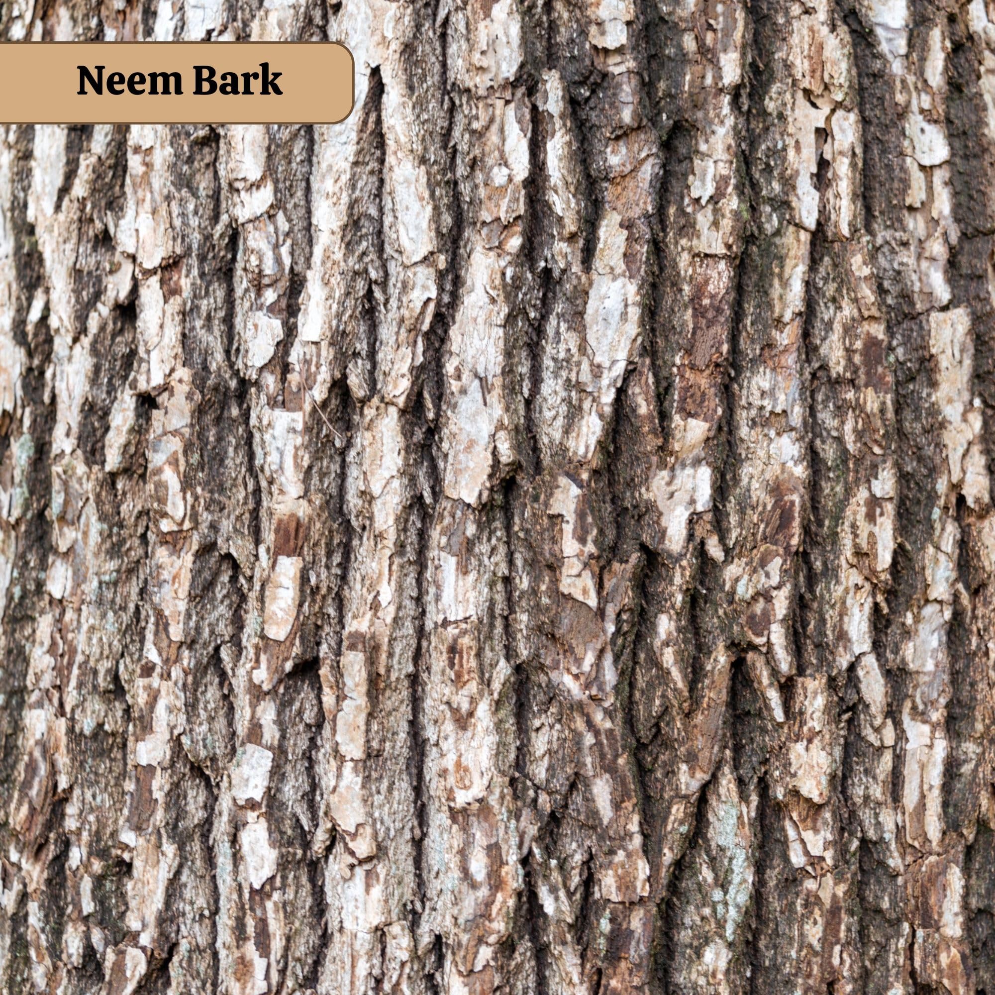 Neotea Neem Bark Powder suitable for DIY herbal blends