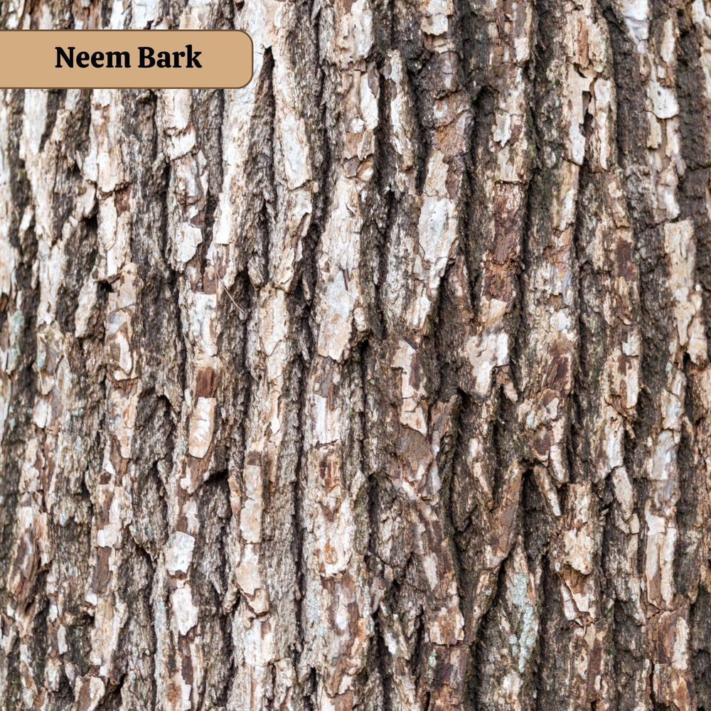 Neotea Neem Bark Powder suitable for DIY herbal blends