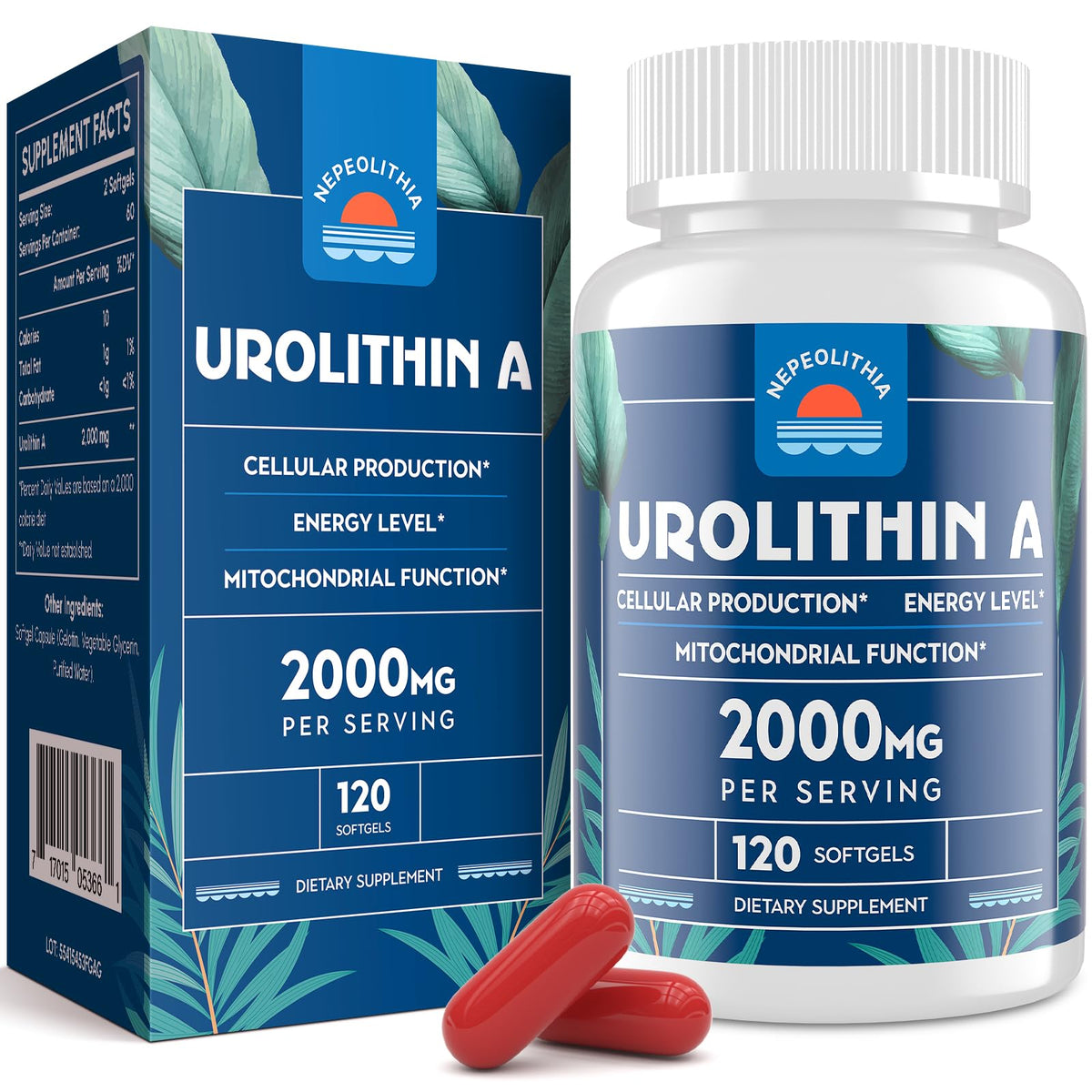 Nepeolithia Urolithin A bottle close-up for daily wellness routine.
