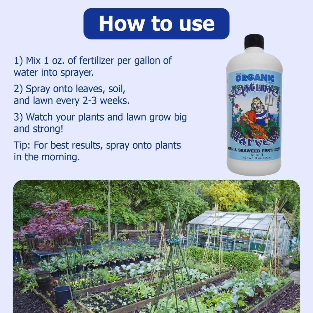 Aplicación foliar de Neptune's Harvest para color y vitalidad en flores y vegetales.