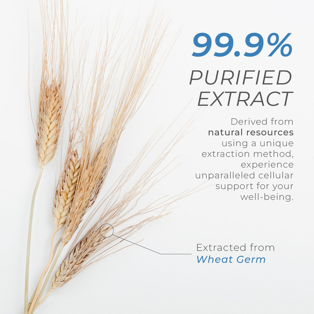 Label highlights 98% pure spermidine for purity and potency.