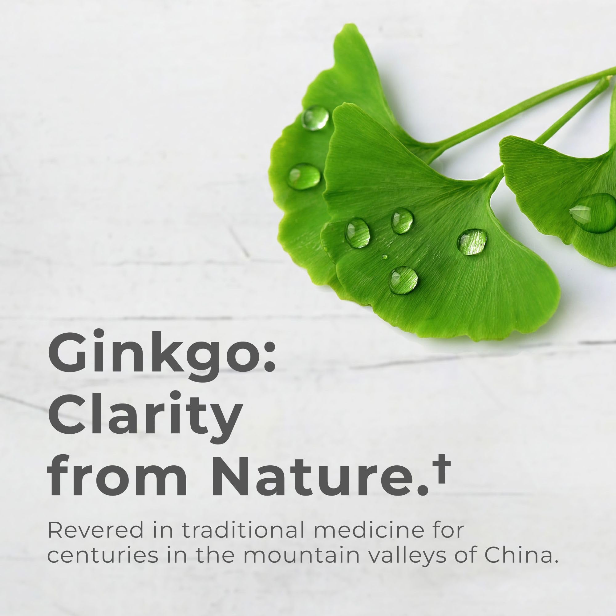 Neurogan ginkgo biloba capsules back view reveals supplement facts.