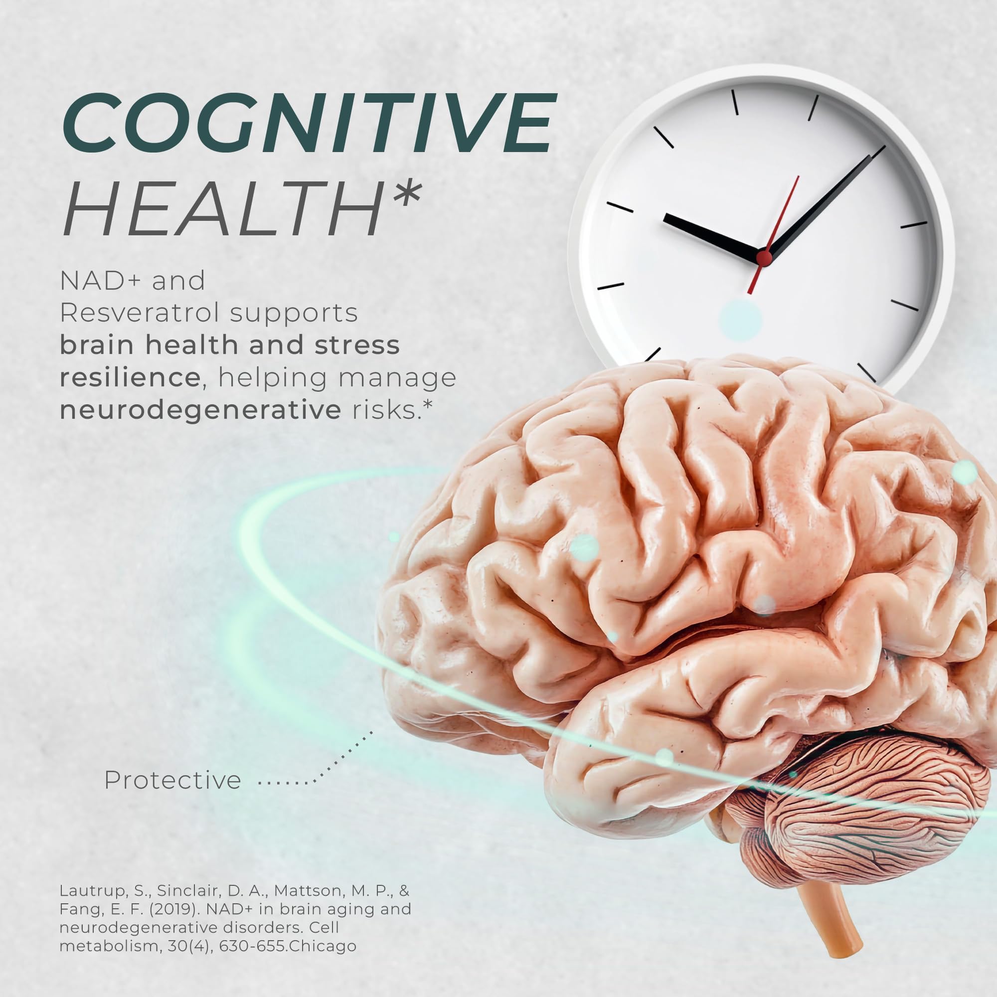 GMP-certified facility badge emphasizes Neurogan manufacturing quality and purity.