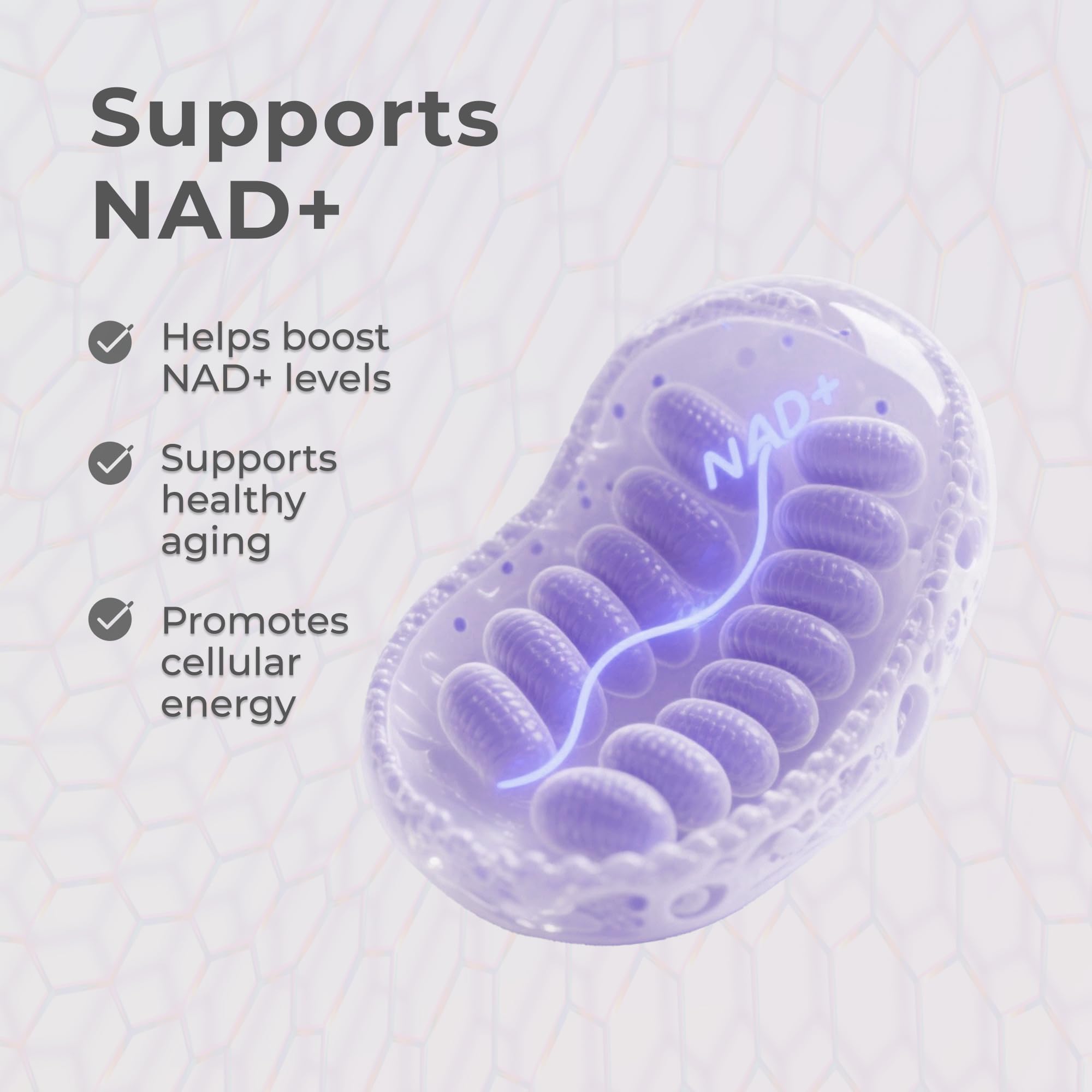 GMP-certified facility assures quality and third-party testing for Neurogan NMN Drops.