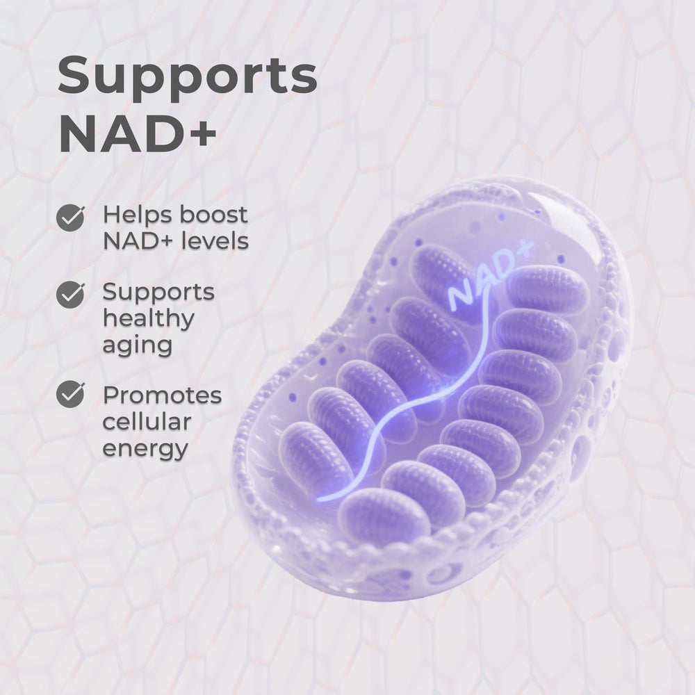 GMP-certified facility assures quality and third-party testing for Neurogan NMN Drops.