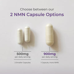 Neurogan NMN label detail communicates purity and testing credentials