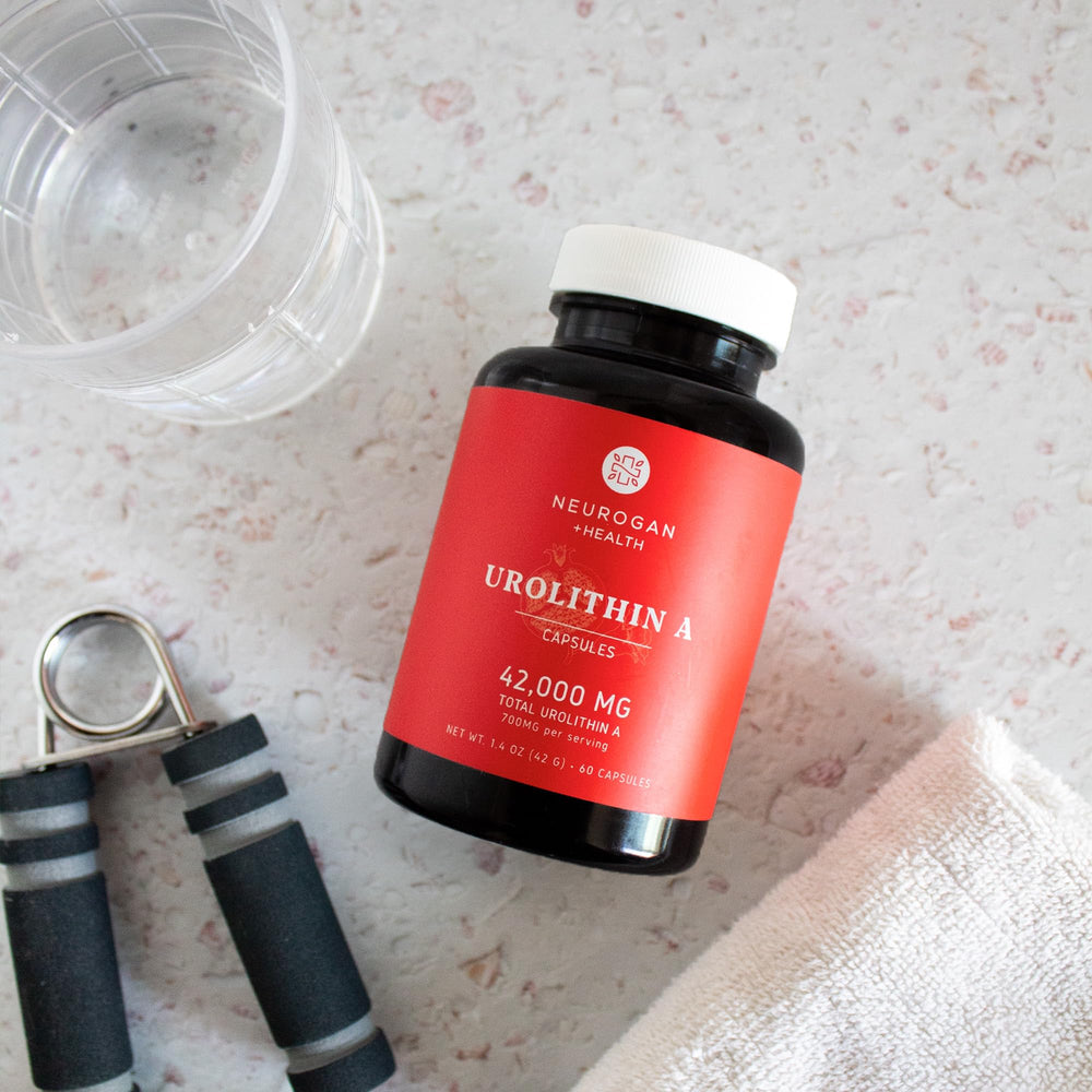 Neurogan Urolithin A daily dose ready for use