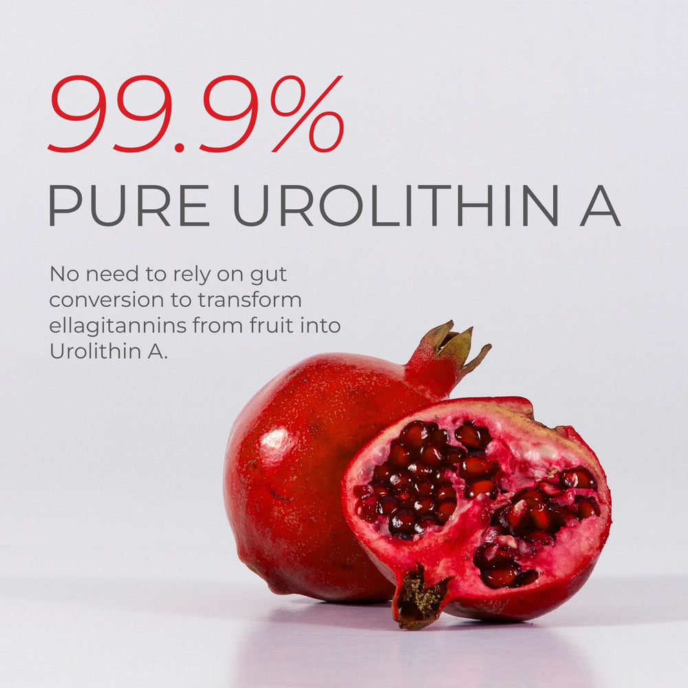 Made in USA at GMP-certified facility for consistency with Neurogan Urolithin A PRO.