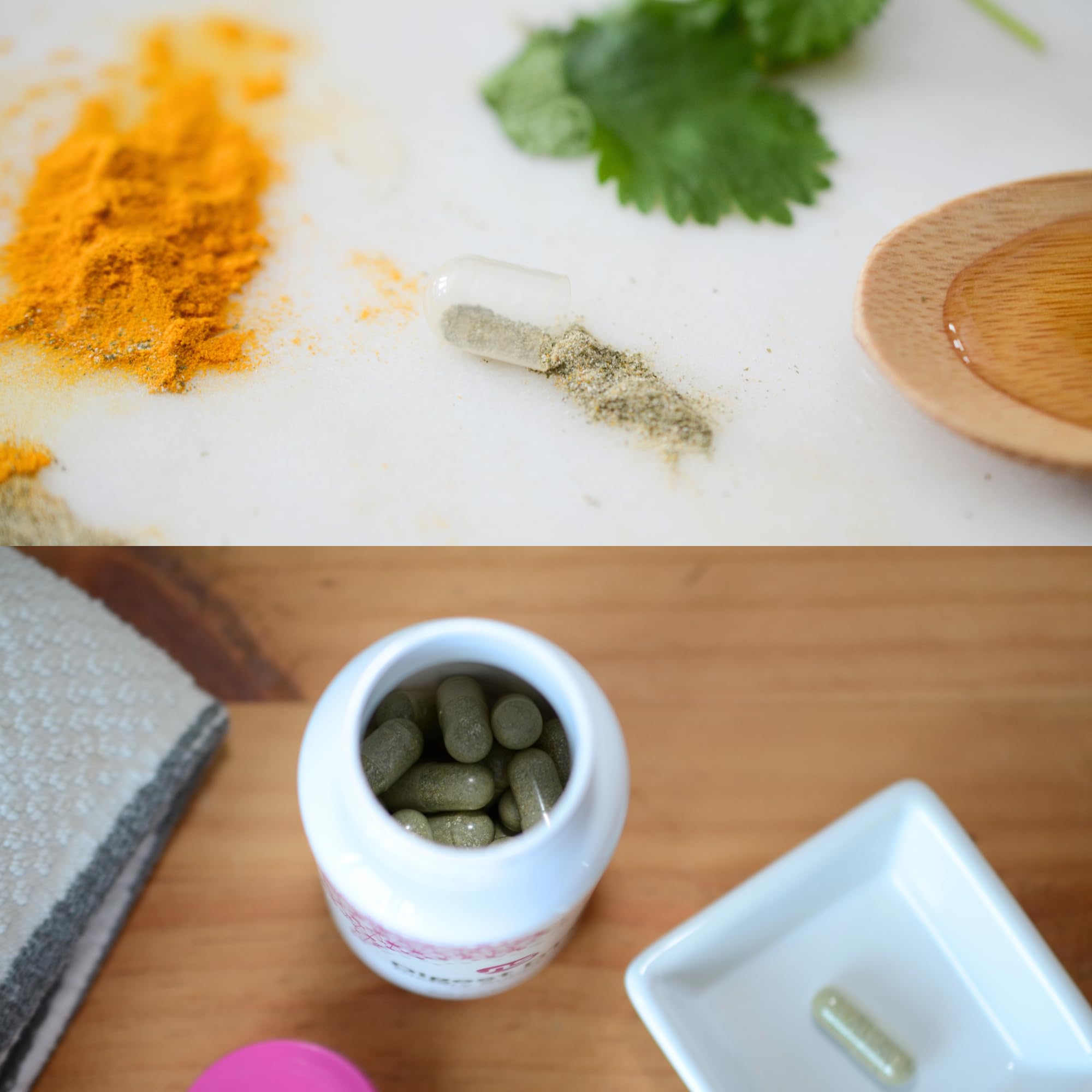 NeuroScience Digest DTX cilantro extract and zinc carnosine highlight gut health.