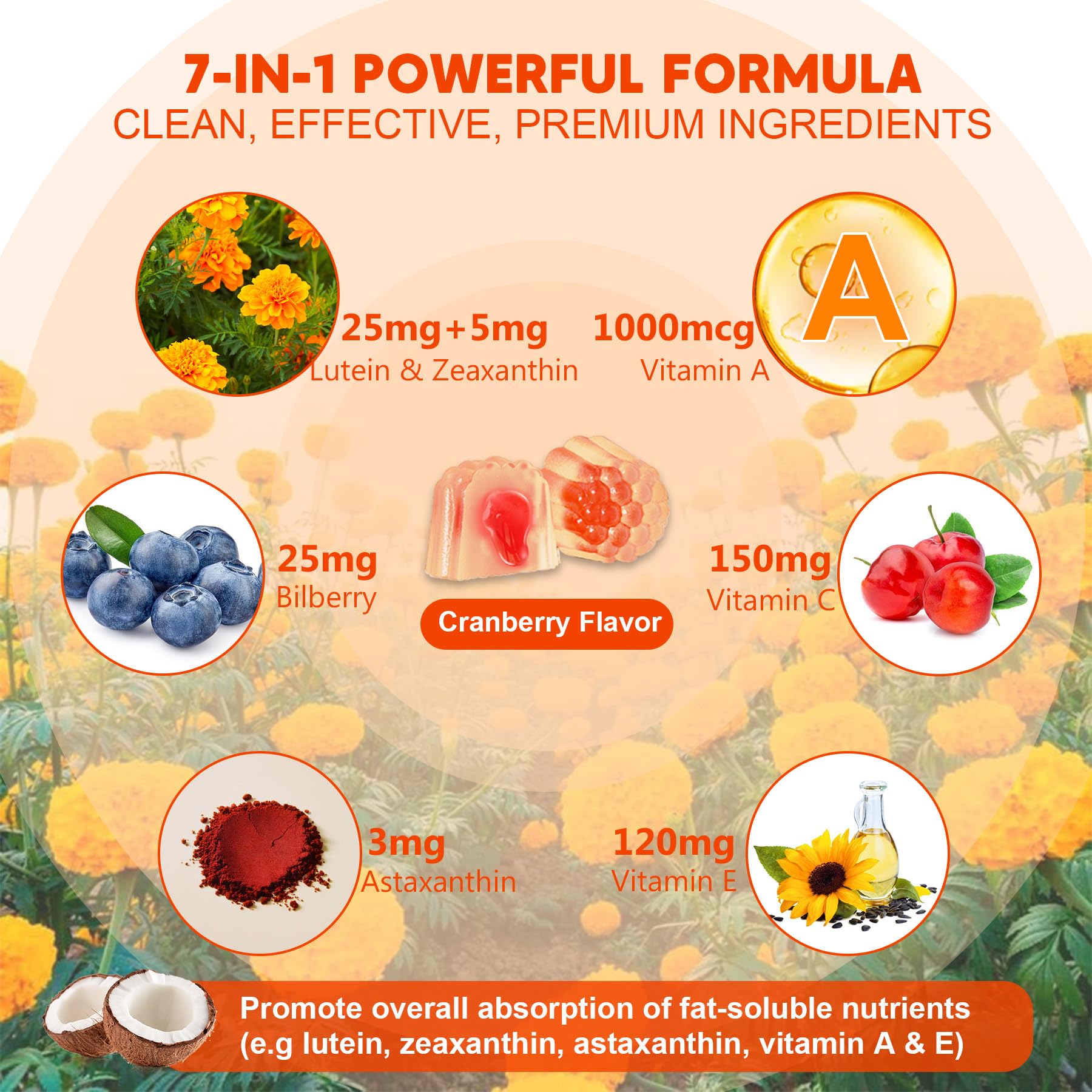 Illustration of bilberry and astaxanthin antioxidants included in NEVISS formula.