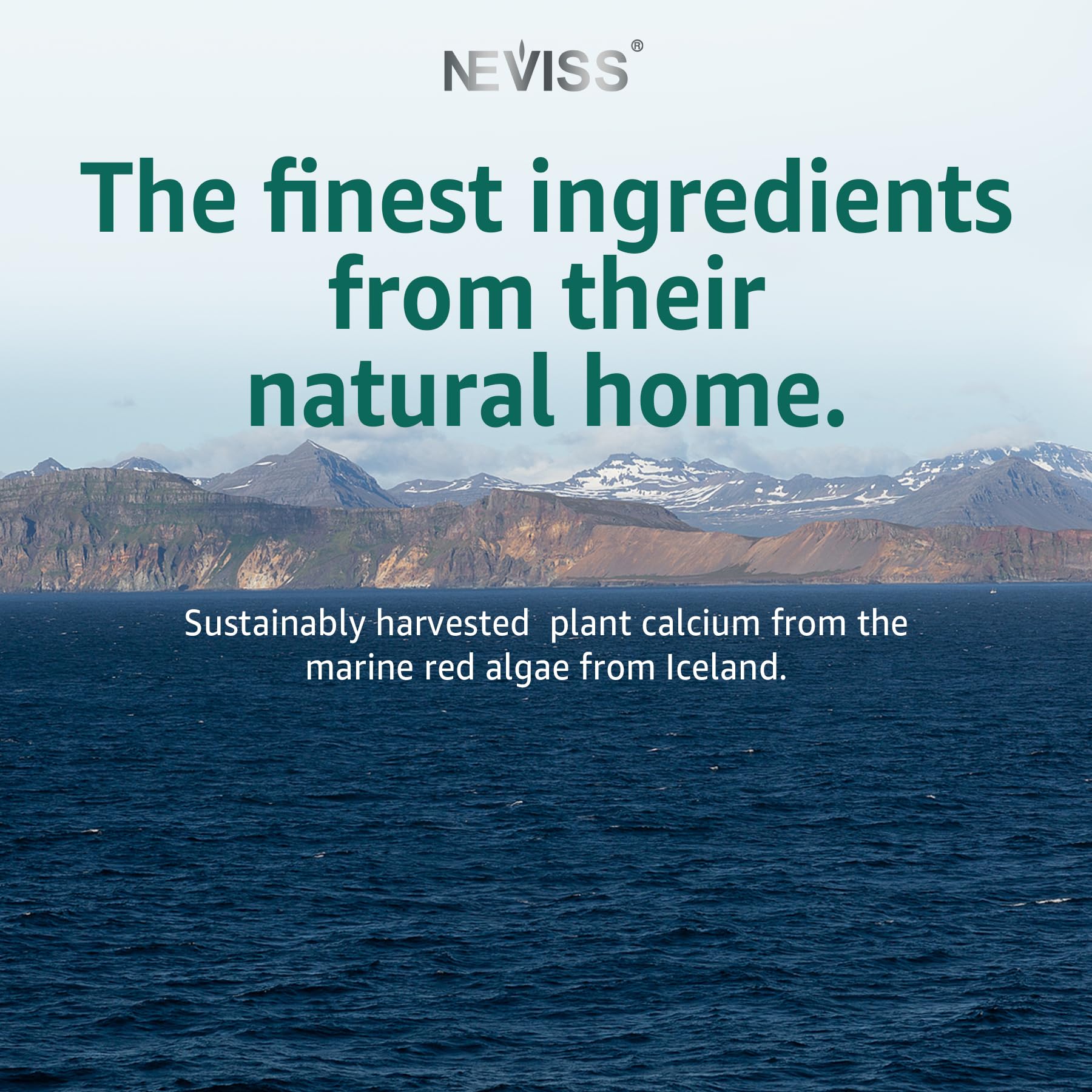 Sustainable packaging for NEVISS Calcium Gummies with third-party testing badge