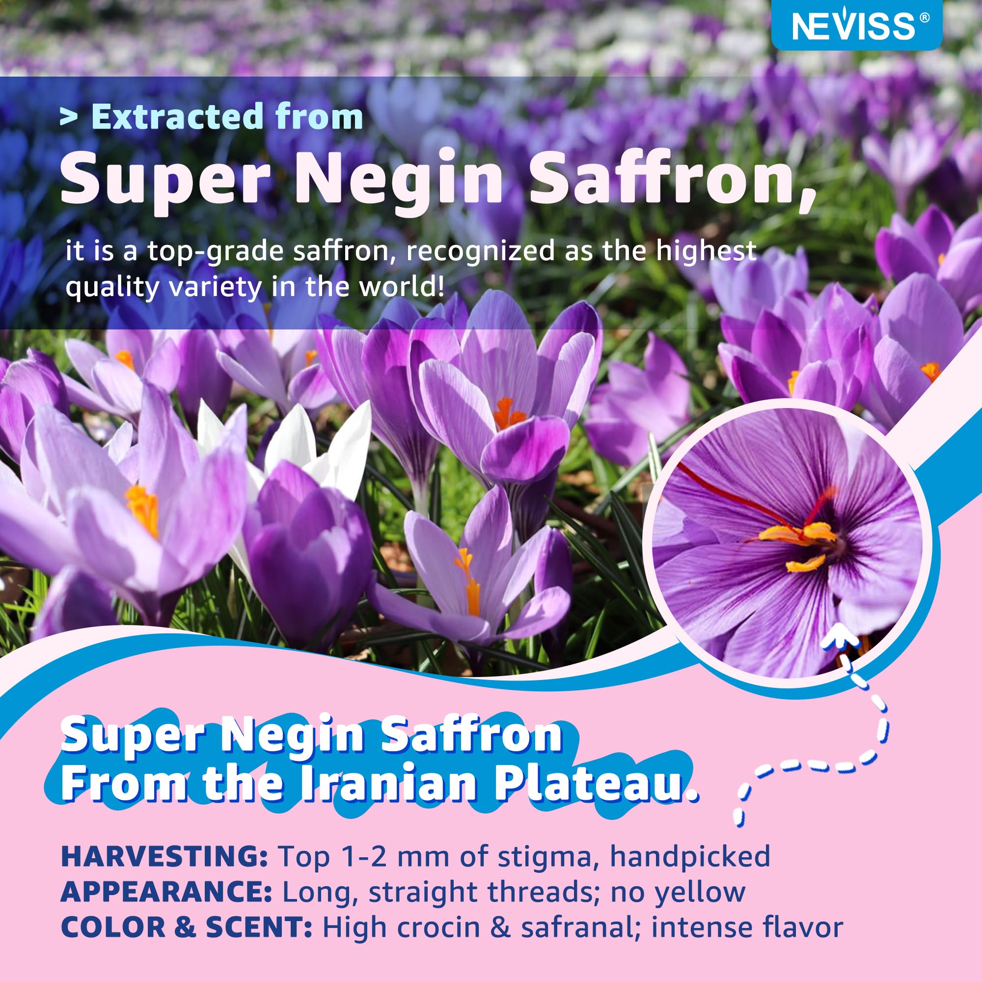 NEVISS saffron magnesium omega gummies ingredient list showcases omega-3 and B vitamins