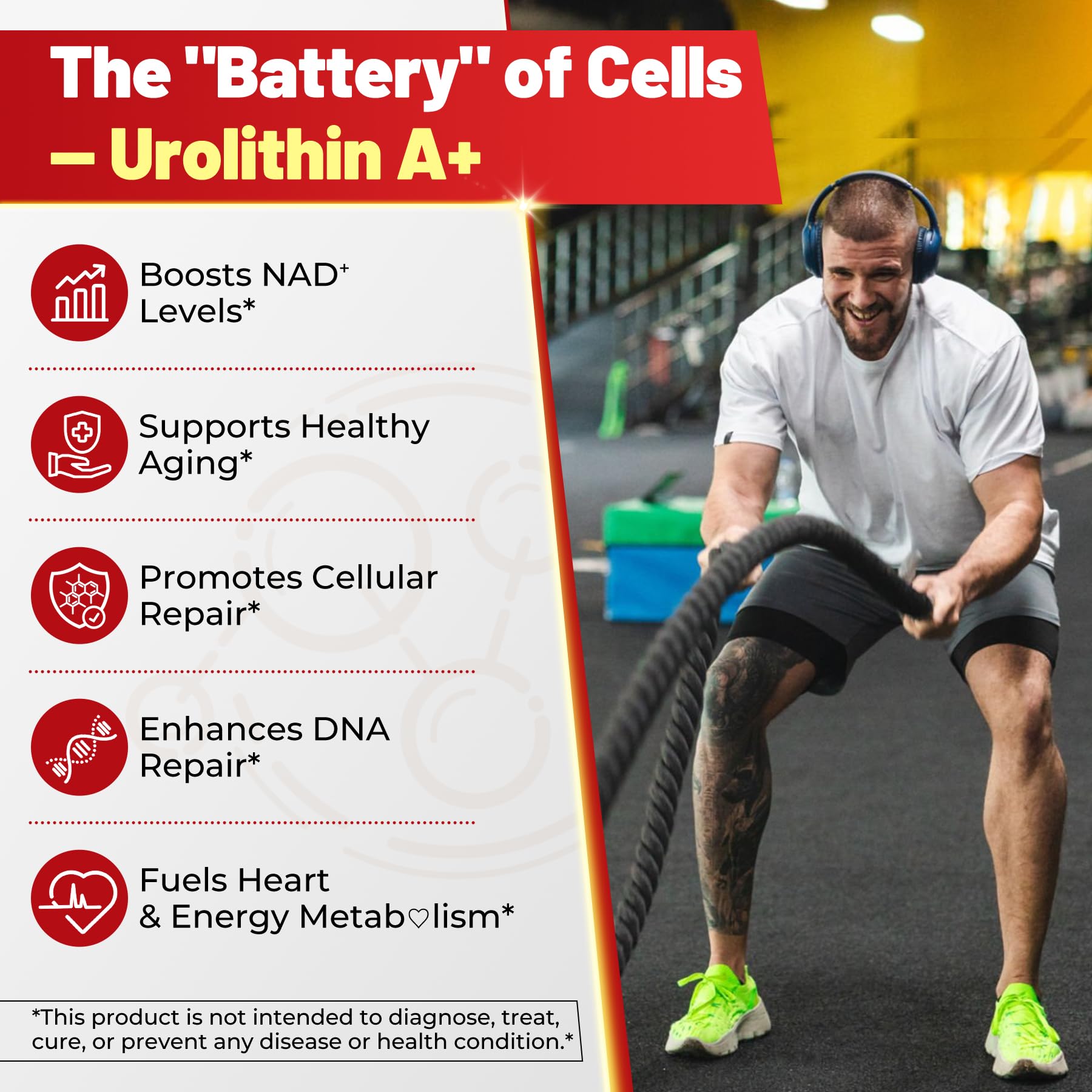 NEVISS Urolithin A gummies on active lifestyle scene suggest daily energy