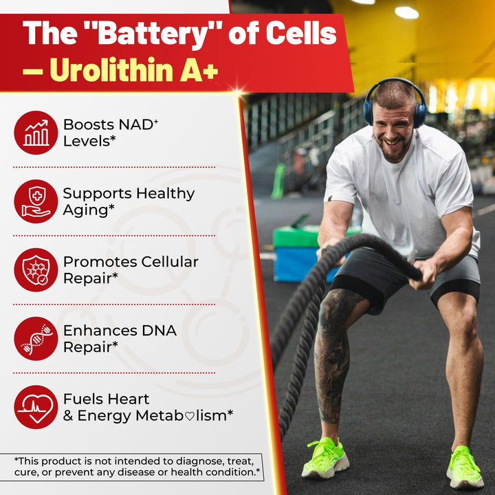NEVISS Urolithin A gummies on active lifestyle scene suggest daily energy