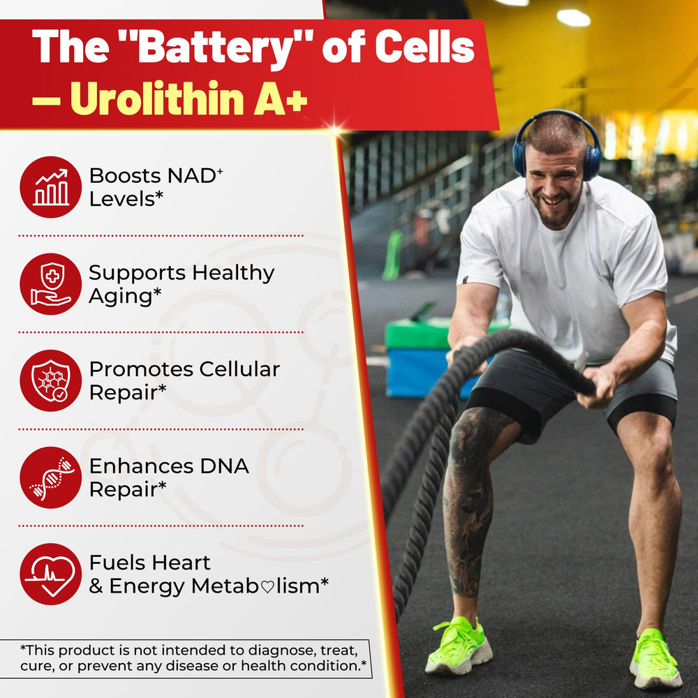 NEVISS Urolithin A gummies on active lifestyle scene suggest daily energy