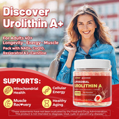 NEVISS Urolithin A gummies ingredients showcasing NAD+ CoQ10 and resveratrol synergy