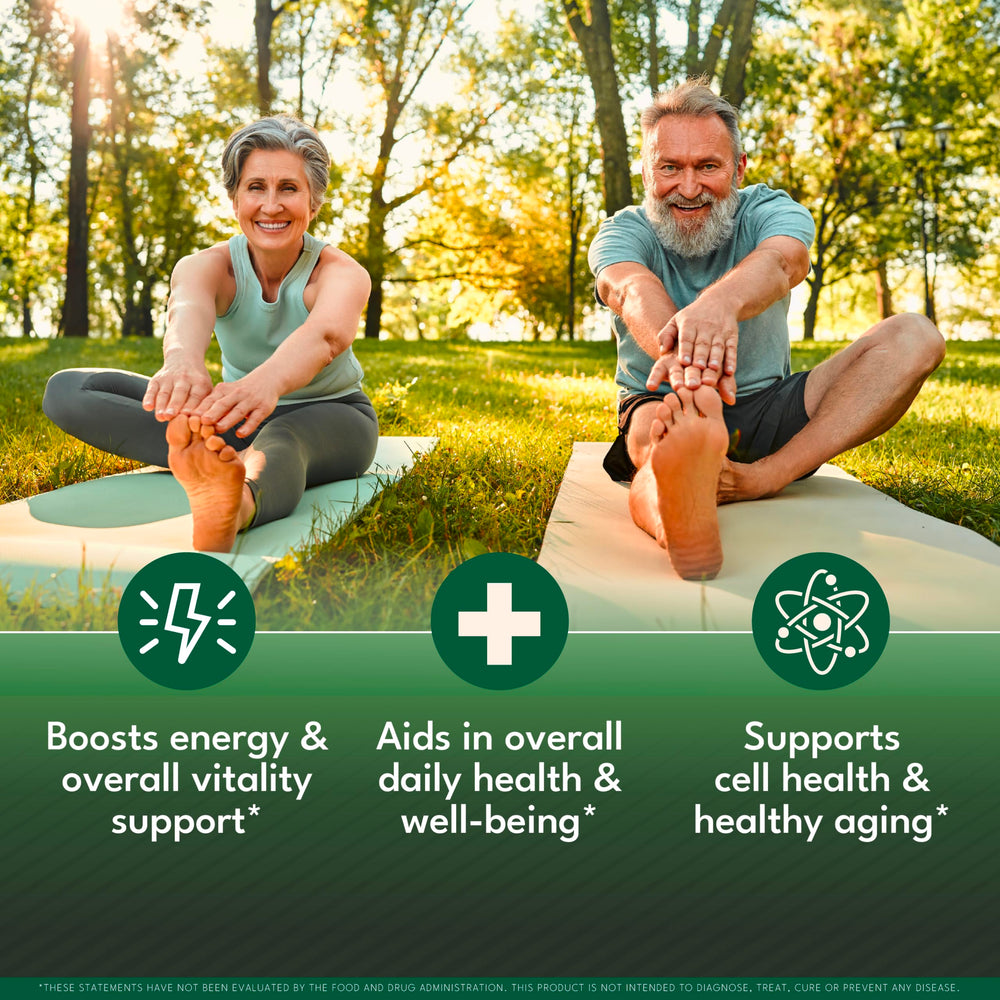 NEW AGE Oil of Oregano Drops pour angle demonstrates fast liquid uptake.