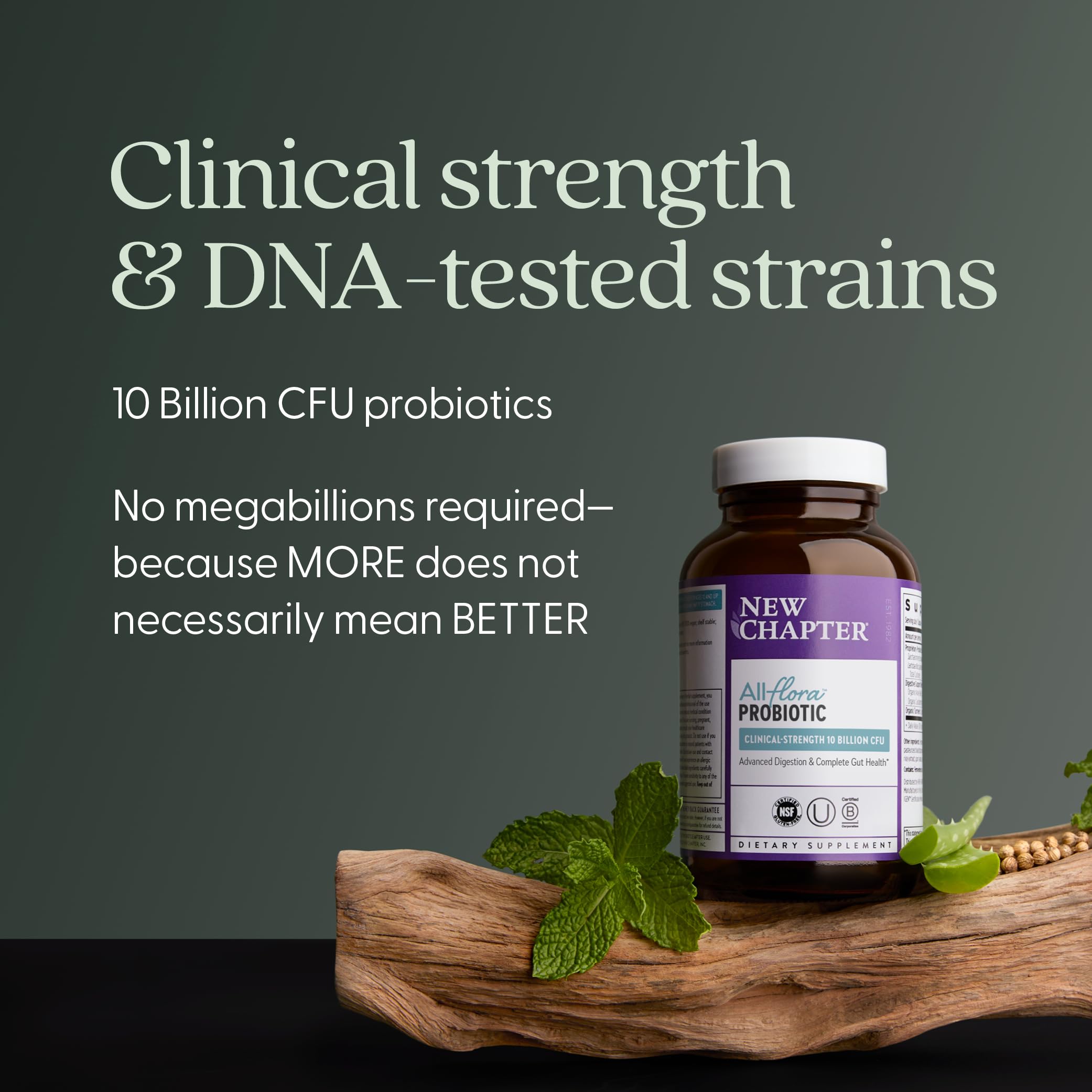 New Chapter All-Flora Probiotic box front detailing vegan, non-GMO promise.