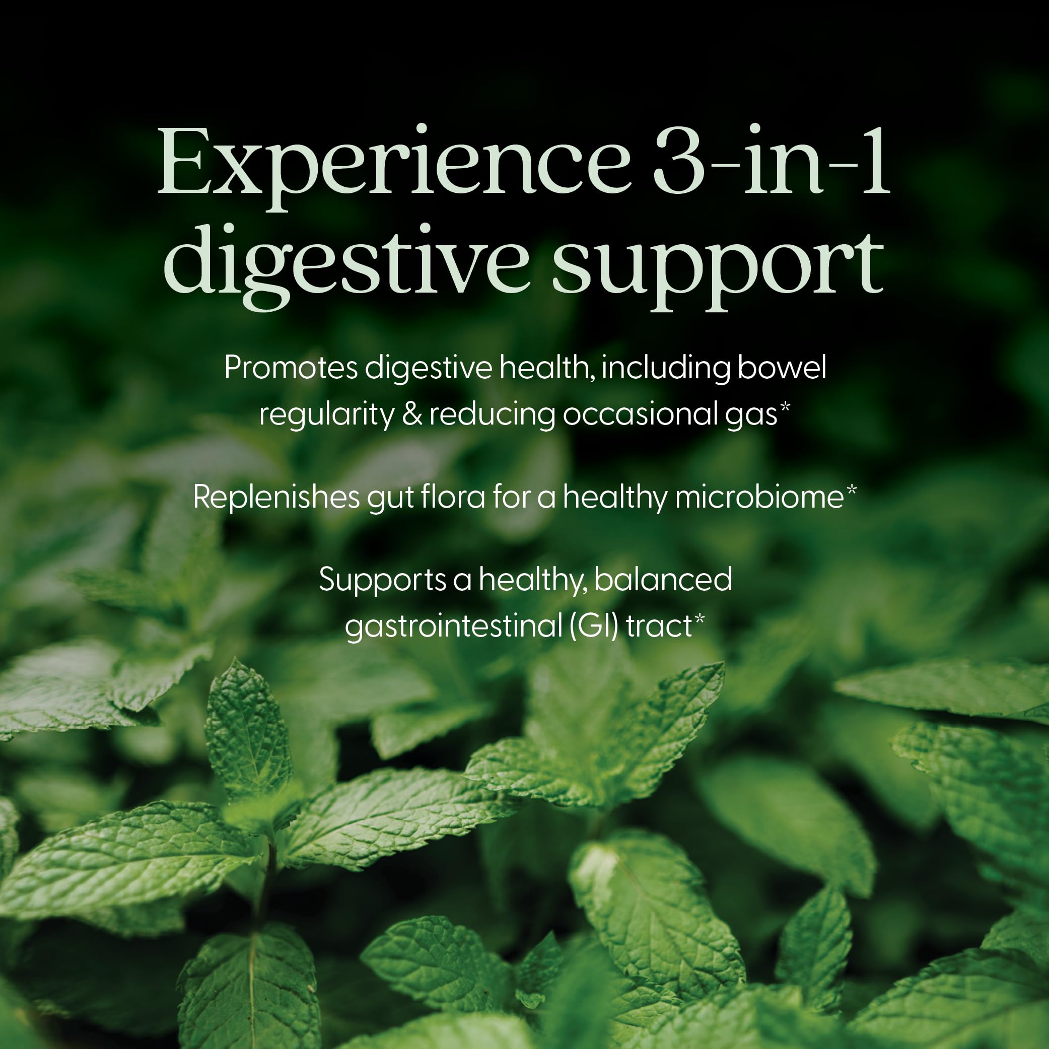 New Chapter All-Flora Probiotic capsules arranged for daily routine and balance.
