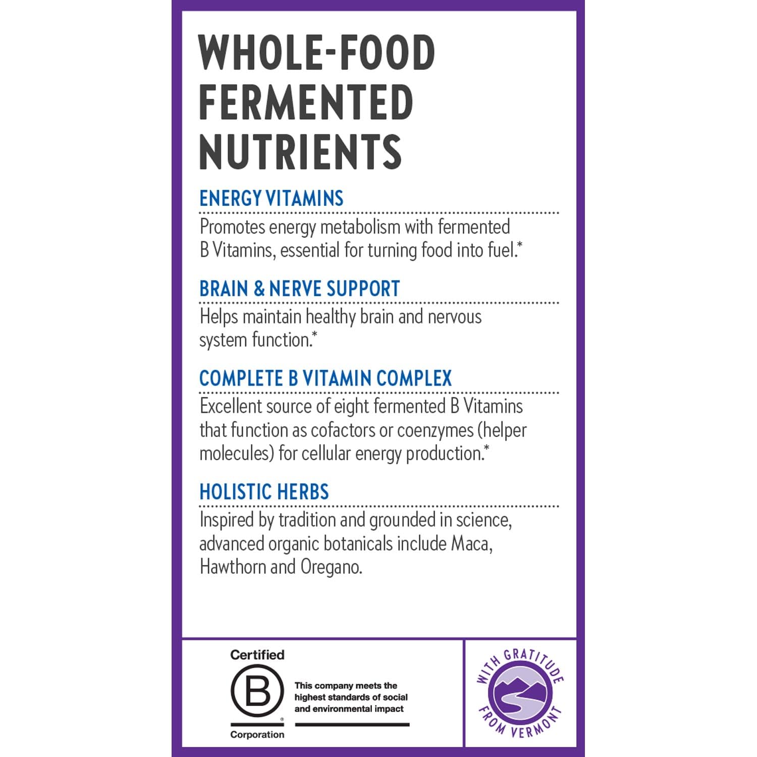 New Chapter B Complex on shelf signals trusted daily energy support.