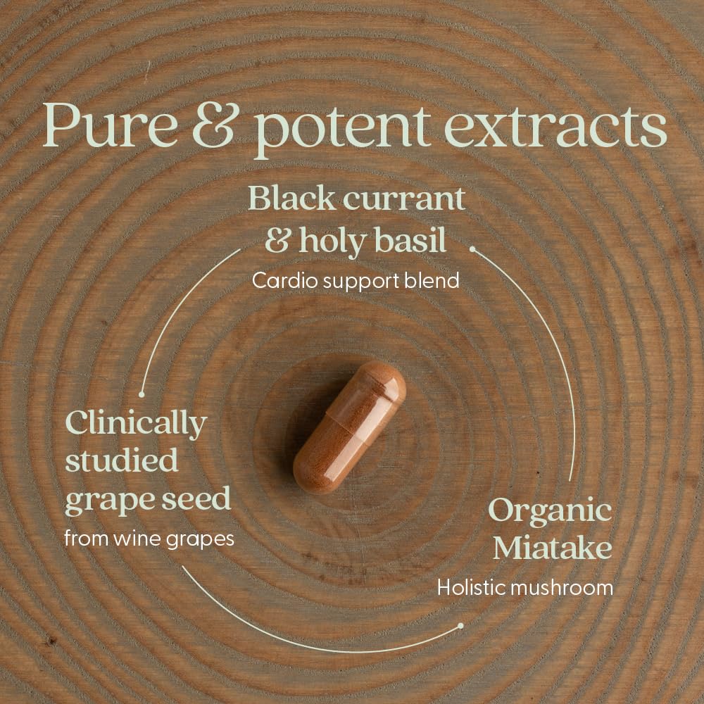Close-up of black currant ingredients in New Chapter Take Care for natural herbal synergy