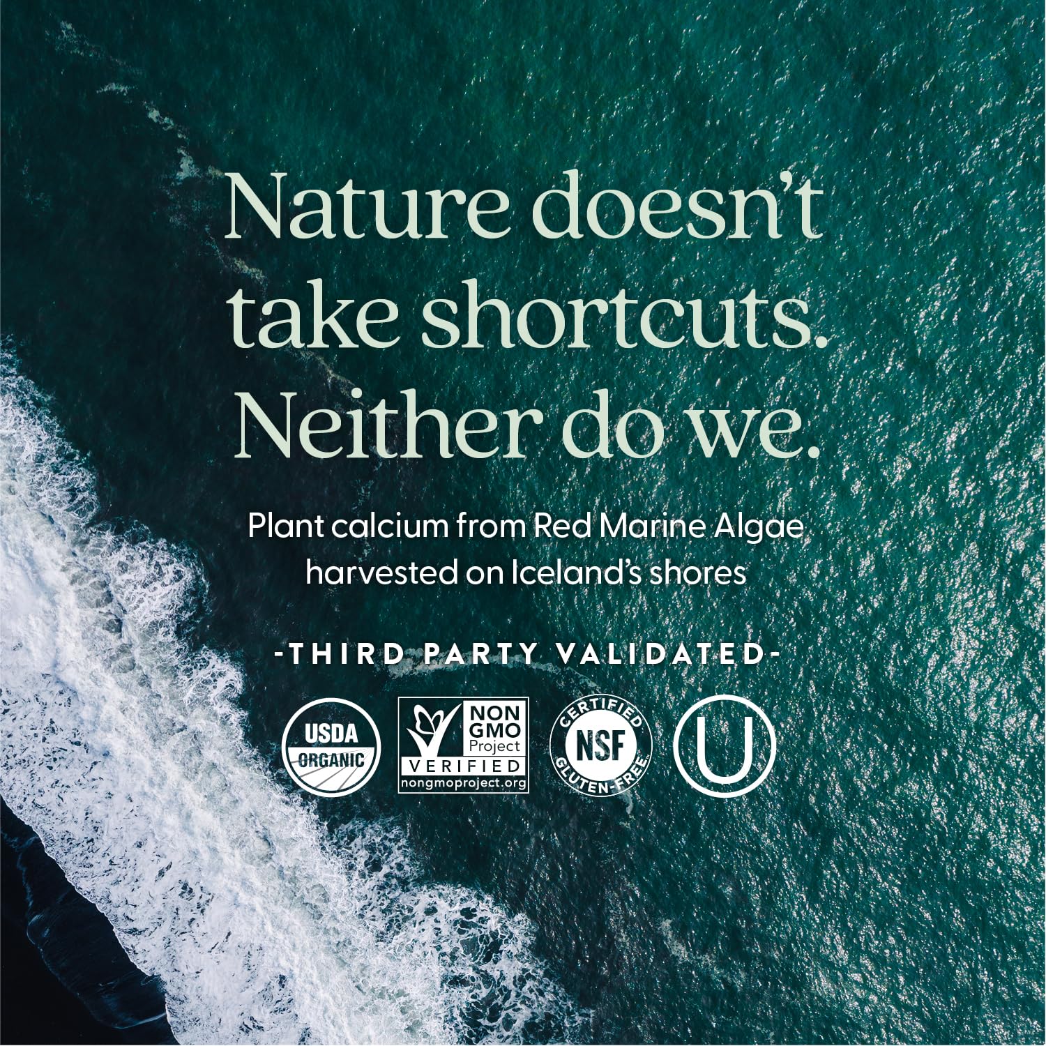New Chapter organic plant-based calcium with vegan certification logos.