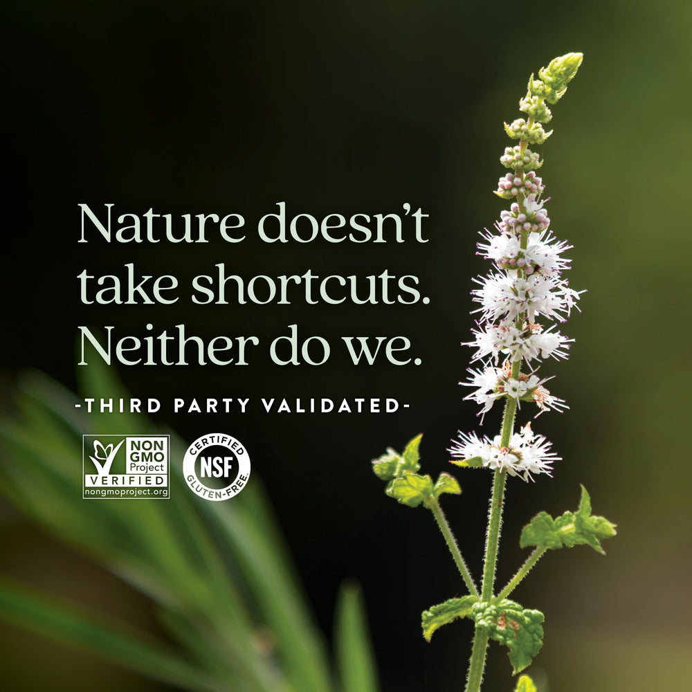 New Chapter Estrotone vitex herb image indicates balance