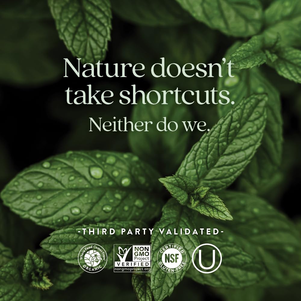 New Chapter iron tablet daily dose visual illustrating non-constipating formula.