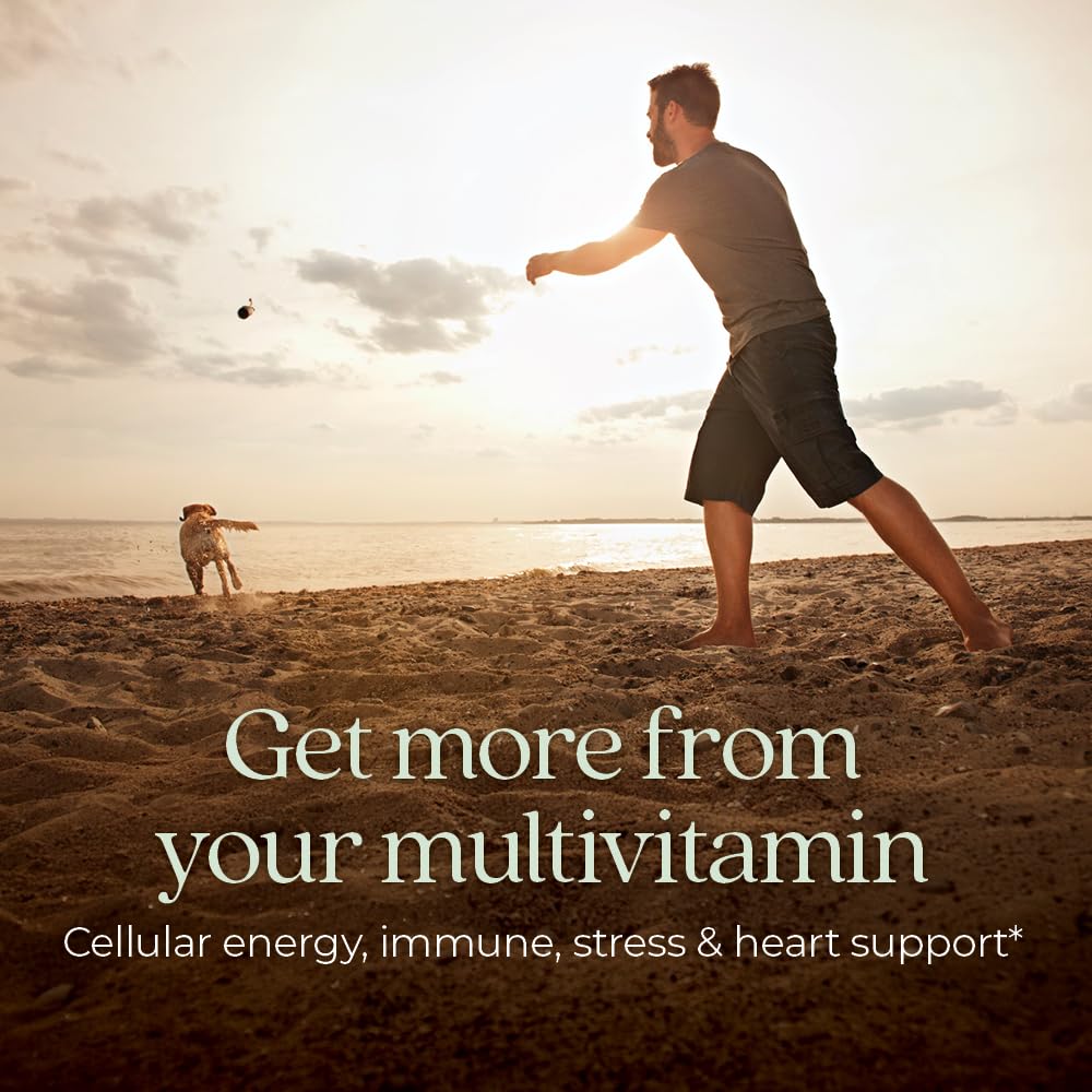 New Chapter Men’s Multivitamin bottle closeup tablets showing easy-to-digest formula