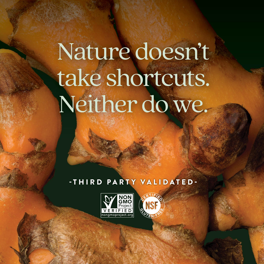 New Chapter Turmeric Force supercritical extract visible on packaging communicates broad compound coverage.