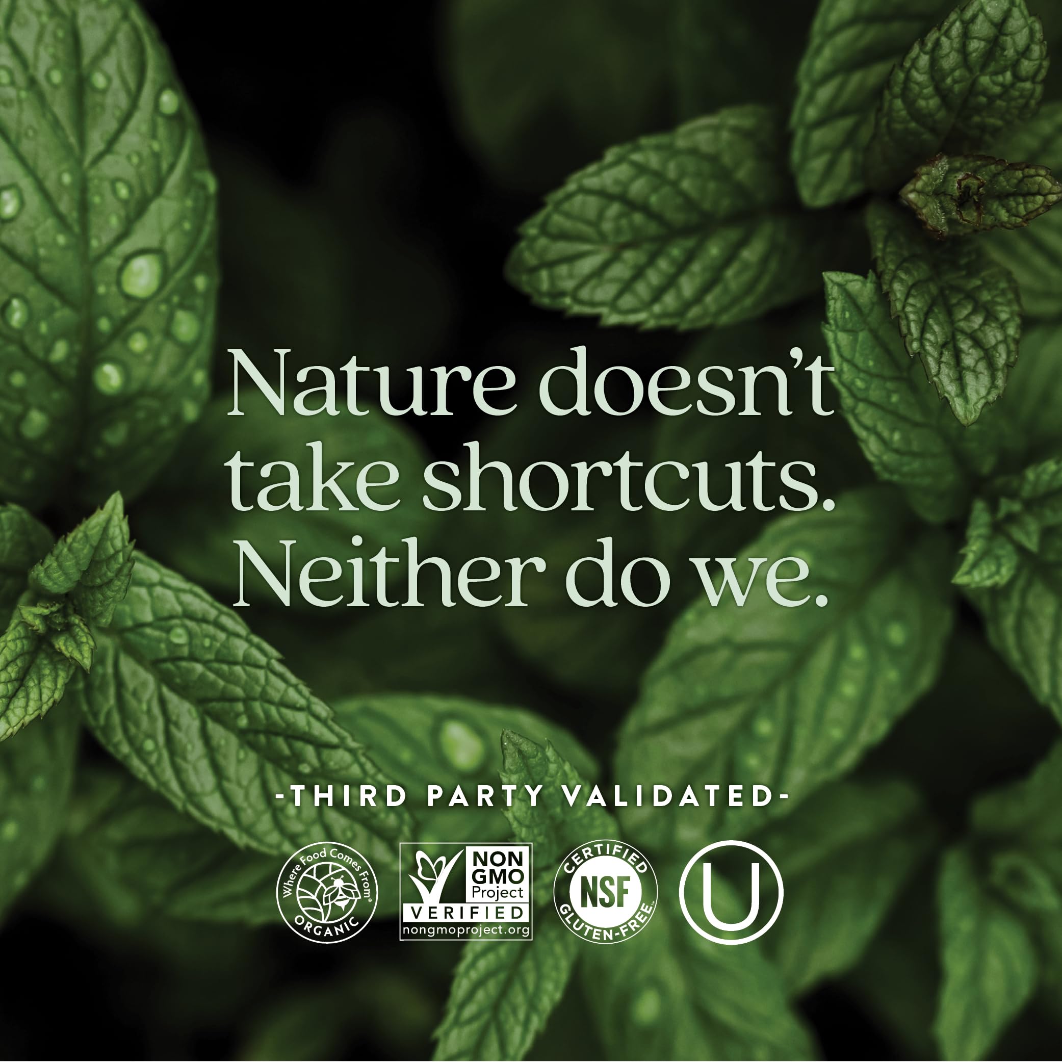 New Chapter 55+ ingredients highlight with ginger-fermented nutrients for gentle absorption.