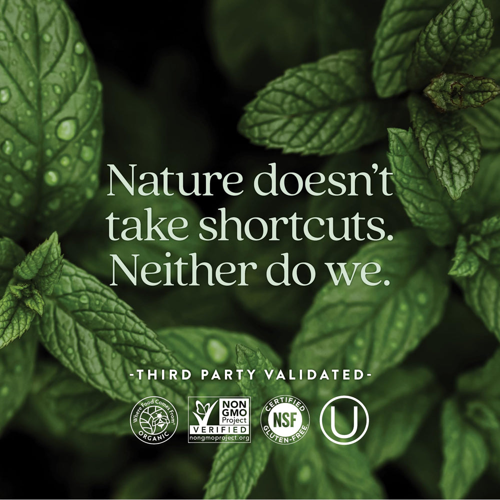 New Chapter 55+ ingredients highlight with ginger-fermented nutrients for gentle absorption.