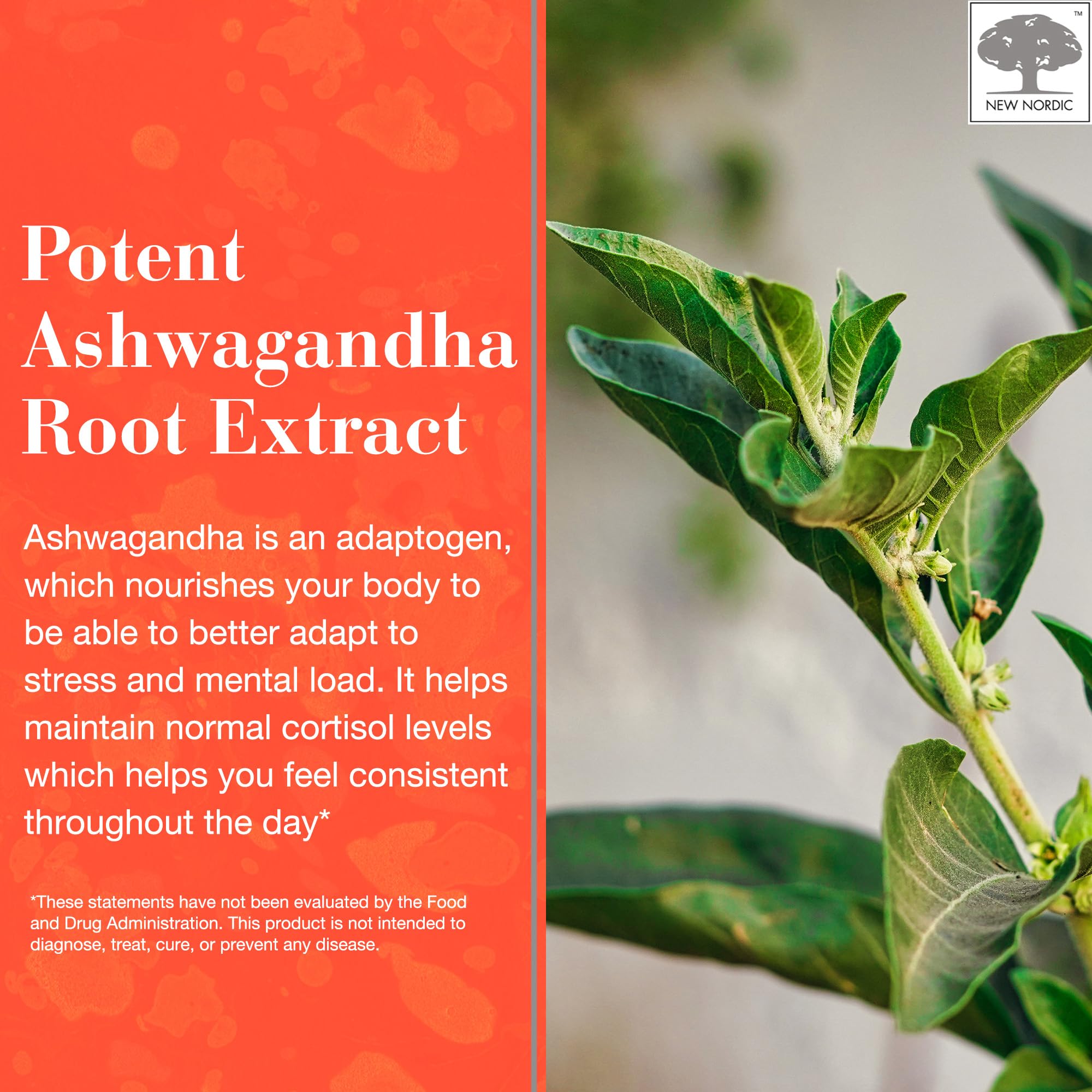NEW NORDIC Ashwagandha Gummies vegan and gluten-free icon on label indicating options