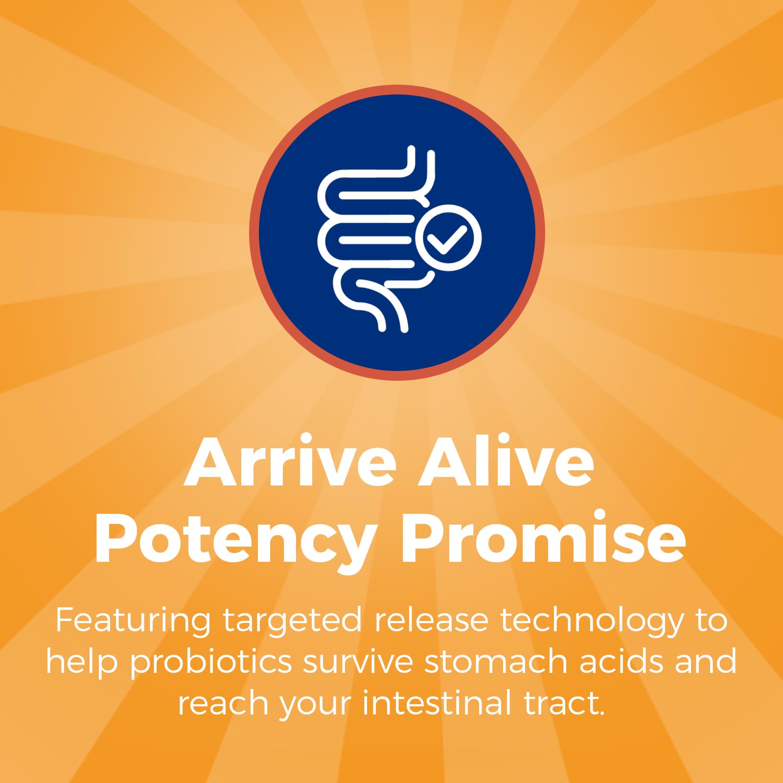 NewRhythm probiotics imagery emphasizing prebiotics and enzymes blend
