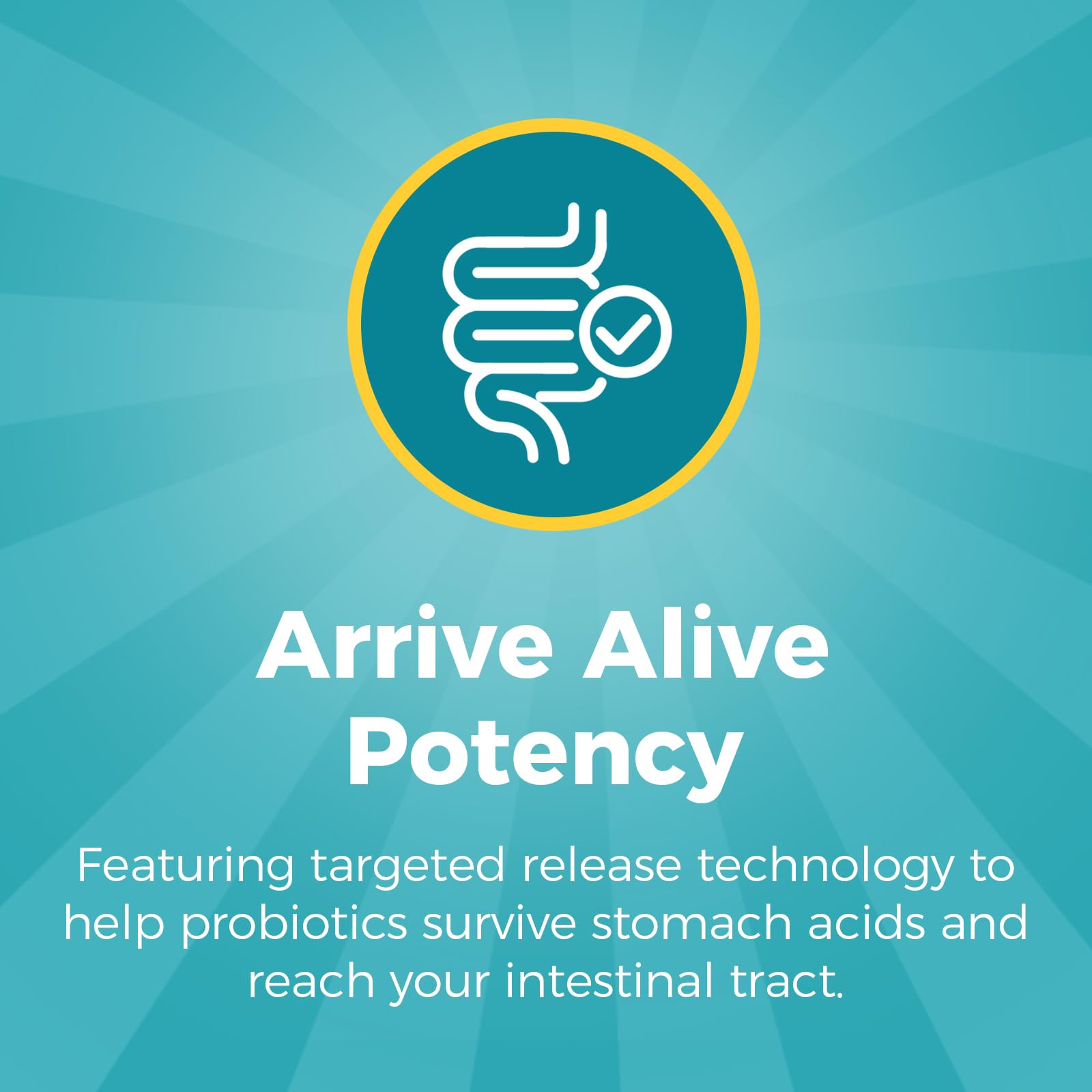 NewRhythm Probiotics targeted-release technology bottle reaches intestines