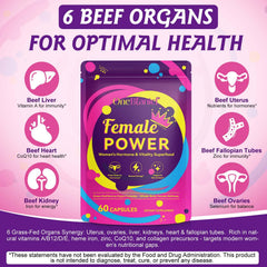 Newseel capsules emphasize heme iron and B12 for energy and vitality