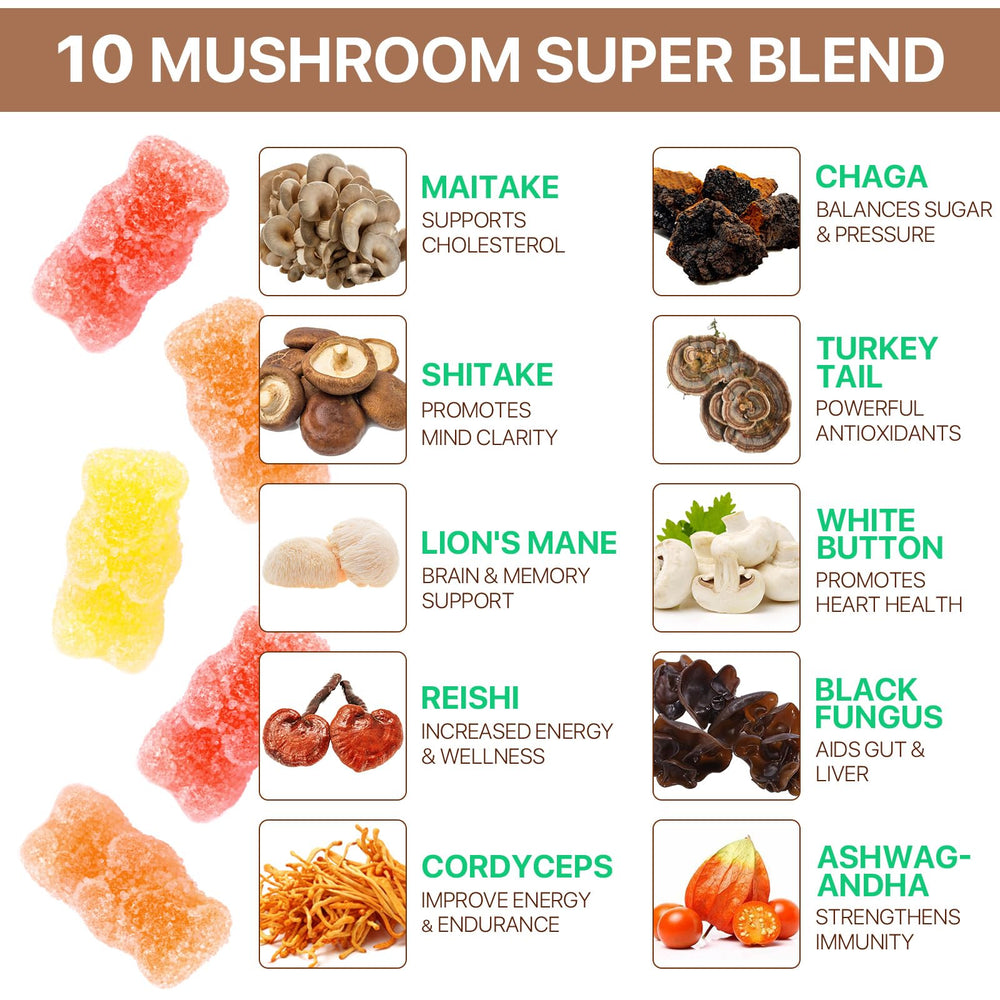 Newseel Lions Mane Gummies label and bottle highlighting organic mushroom blend.
